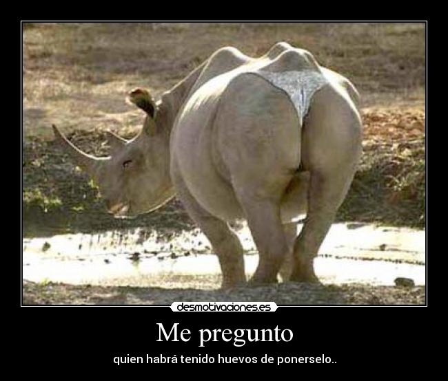 carteles pregunto desmotivaciones