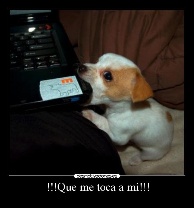 !!!Que me toca a mi!!! - 