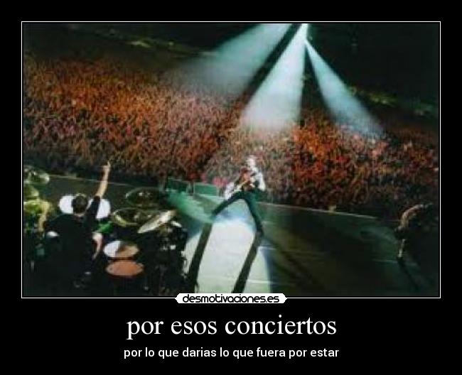 por esos conciertos - por lo que darias lo que fuera por estar