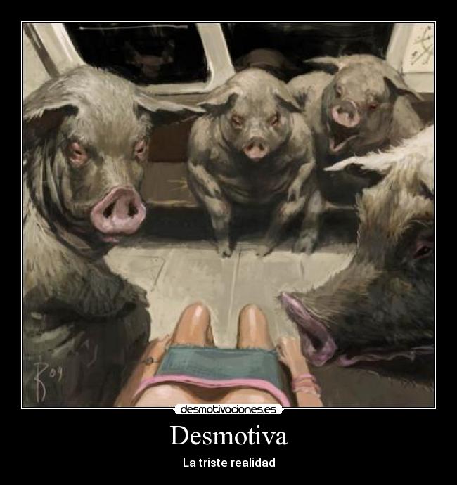 Desmotiva - La triste realidad