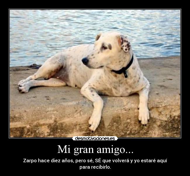 Mi gran amigo... -