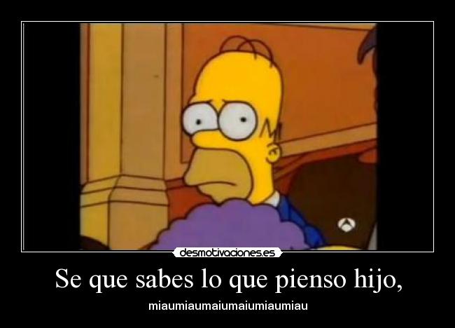 Se que sabes lo que pienso hijo, - 