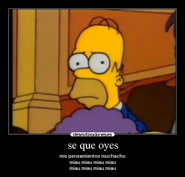 carteles homero los simpson que oyes mis pensamientos muchacho miau desmotivaciones