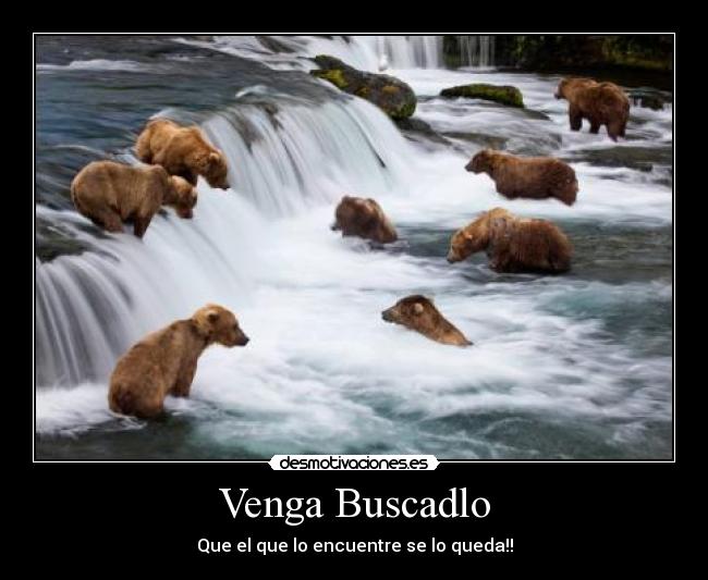 carteles desmotivaciones