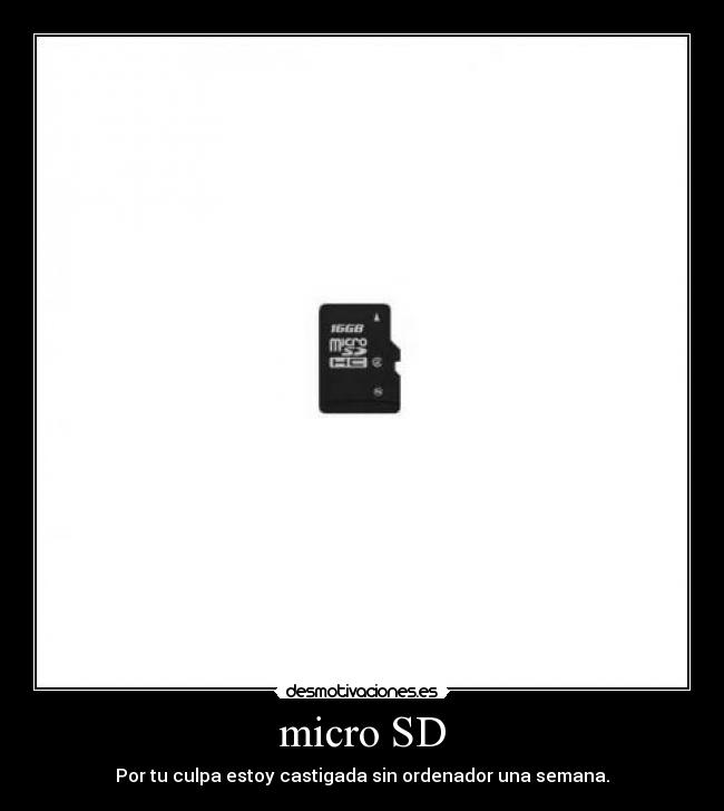 micro SD - Por tu culpa estoy castigada sin ordenador una semana.