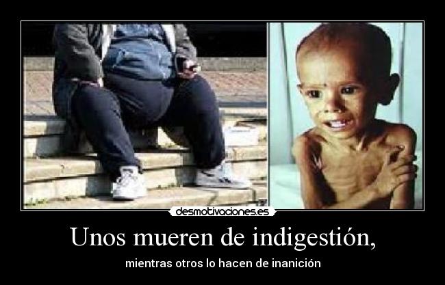 carteles inanicion indigestion desmotivaciones