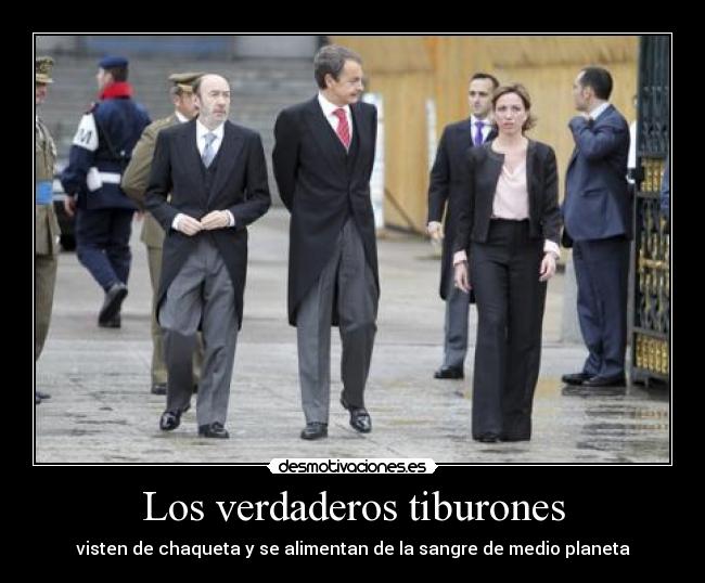 Los verdaderos tiburones - 