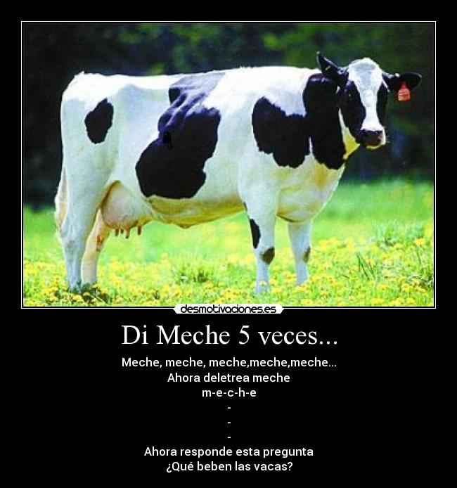 Di Meche 5 veces... -