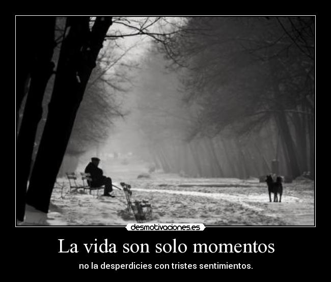 La vida son solo momentos - 