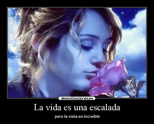La vida es una escalada -