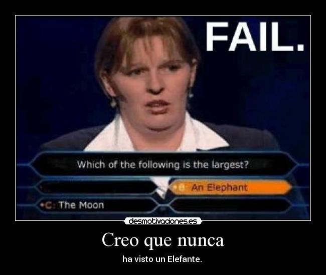 Creo que nunca - ha visto un Elefante.