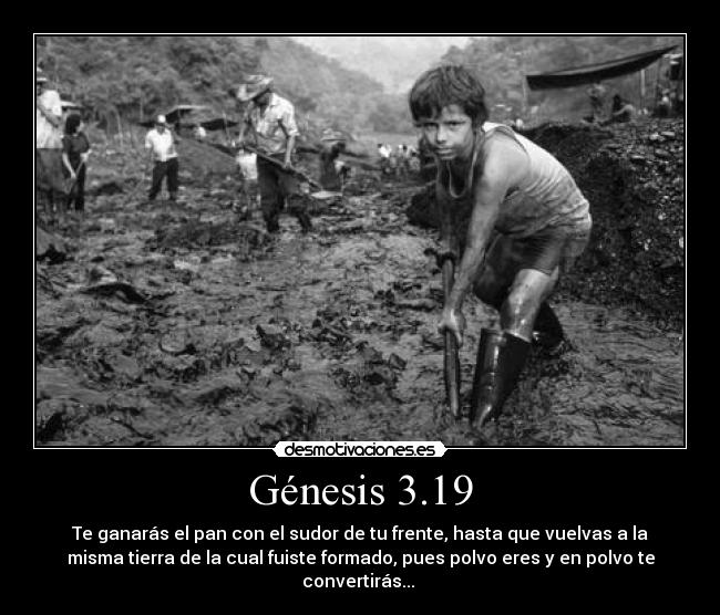 Génesis 3.19 -