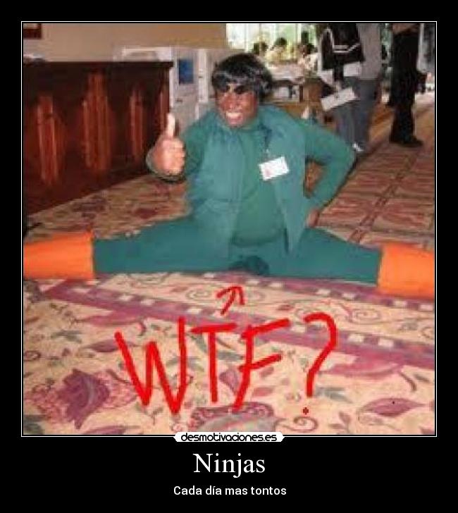 Ninjas - Cada día mas tontos