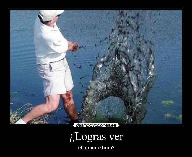 ¿Logras ver -