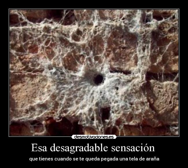 Esa desagradable sensación  - que tienes cuando se te queda pegada una tela de araña