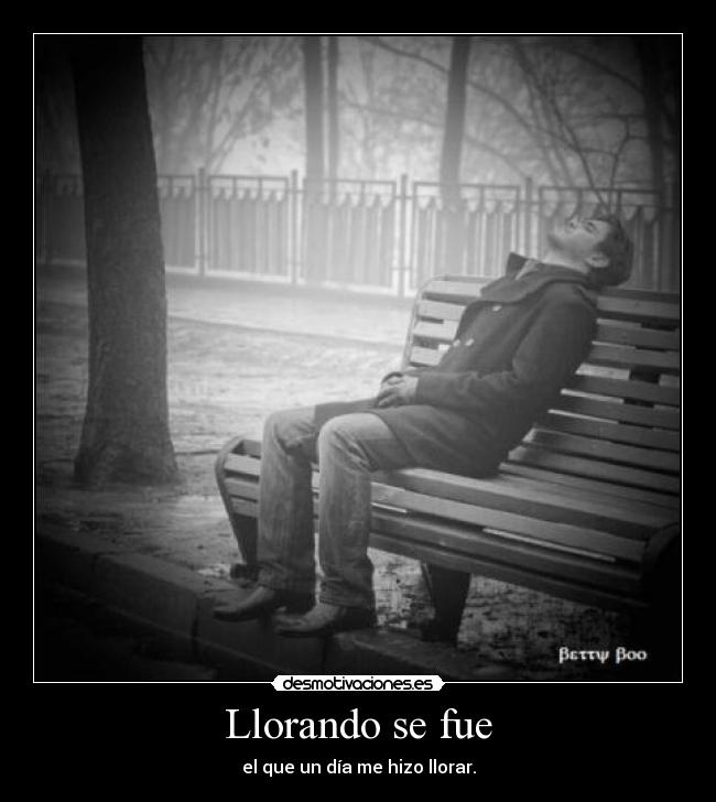 Llorando se fue - el que un día me hizo llorar.