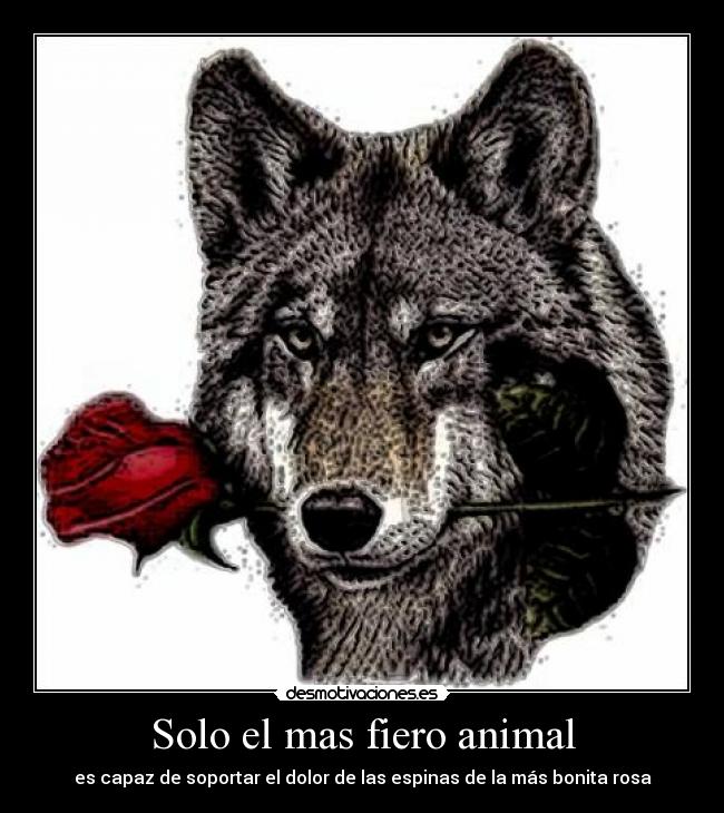 Solo el mas fiero animal - 