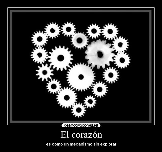 El corazón -