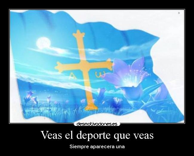 Veas el deporte que veas -