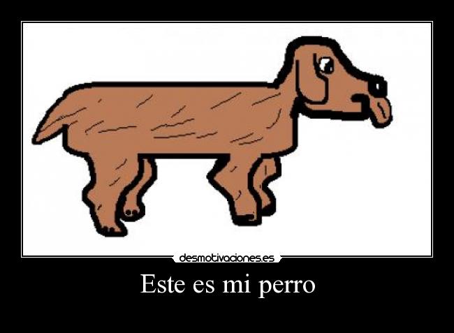 Este es mi perro -