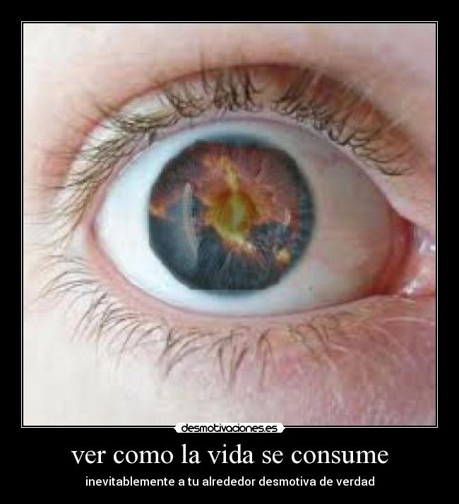 ver como la vida se consume - 