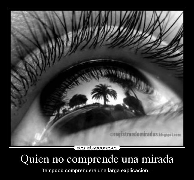 Quien no comprende una mirada - tampoco comprenderá una larga explicación...
