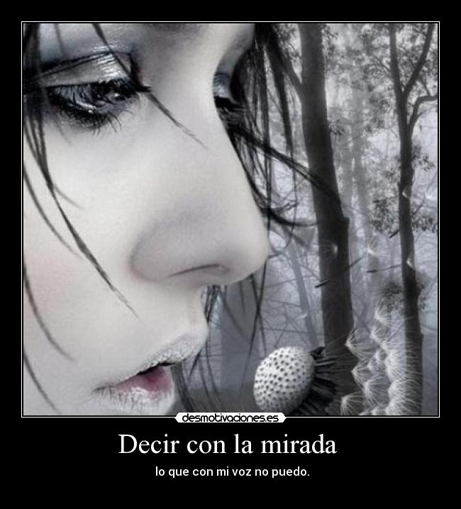 Decir con la mirada - lo que con mi voz no puedo.