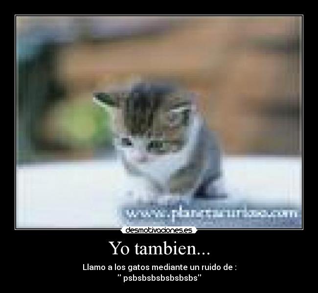 Yo tambien... - 
