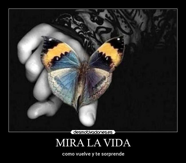 MIRA LA VIDA - como vuelve y te sorprende