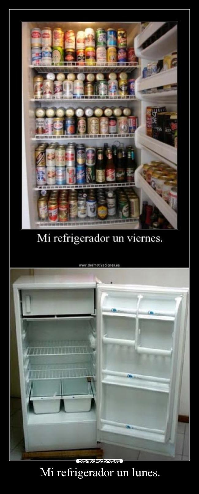 Mi refrigerador un lunes. -