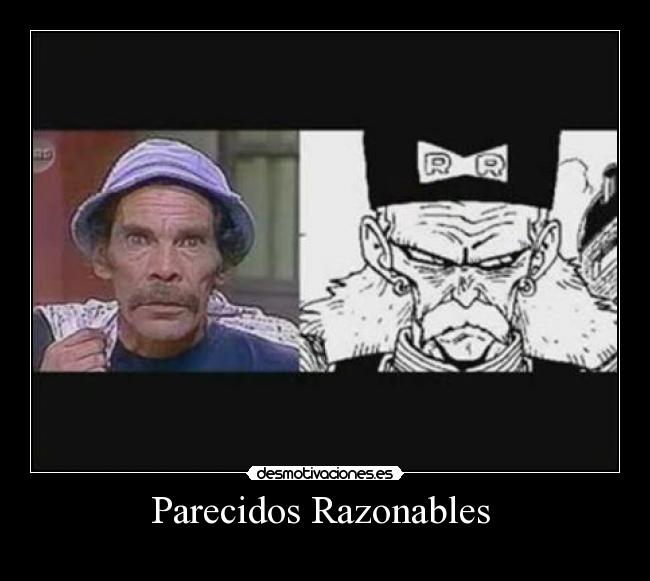 Parecidos Razonables -