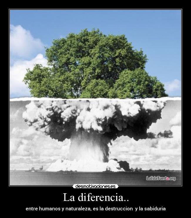 La diferencia.. -
