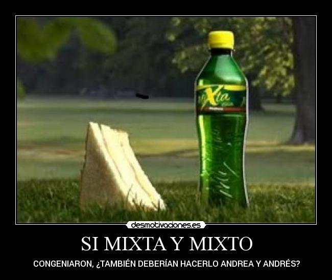 SI MIXTA Y MIXTO -