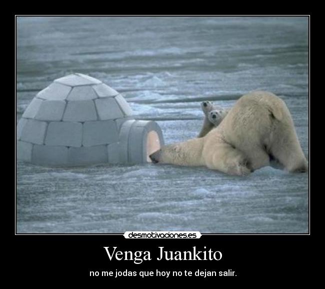 carteles carlitolove desmotivaciones