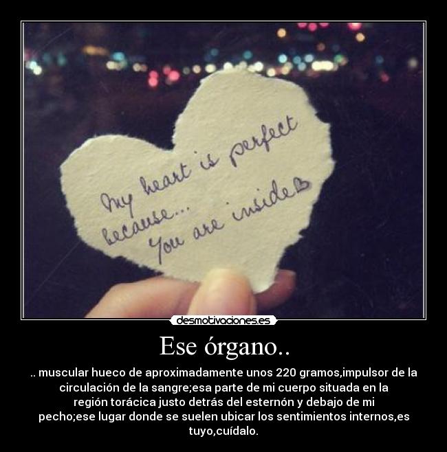 Ese órgano.. -