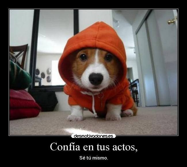 carteles confia tus actos desmotivaciones