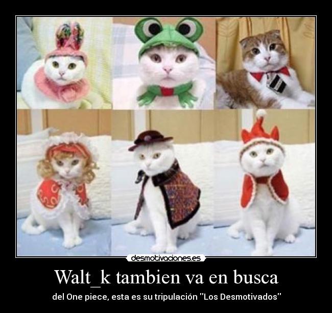 Walt_k tambien va en busca - 