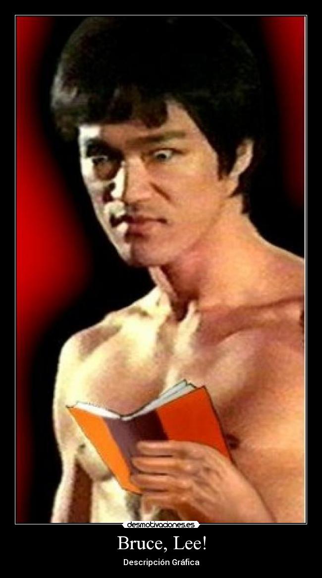 Bruce, Lee! - Descripción Gráfica