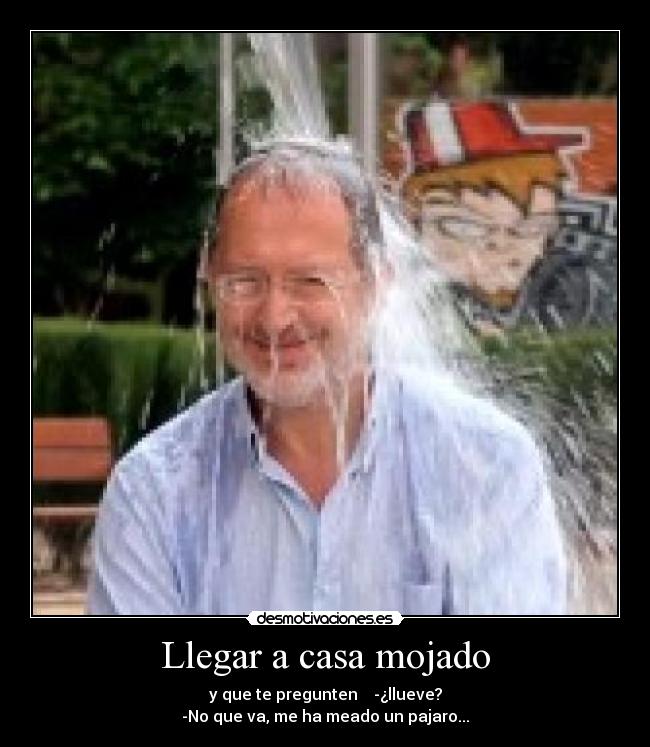 Llegar a casa mojado - y que te pregunten -¿llueve?
-No que va, me ha meado un pajaro...