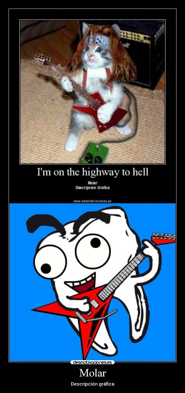 Molar - Descripción gráfica