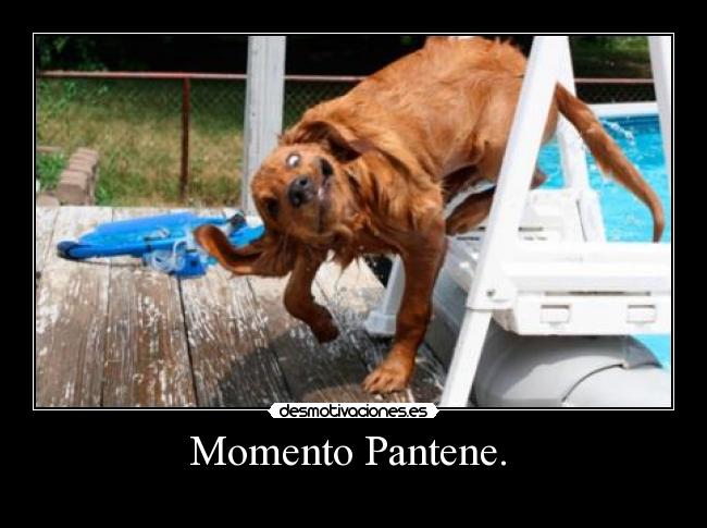 Momento Pantene.  - 