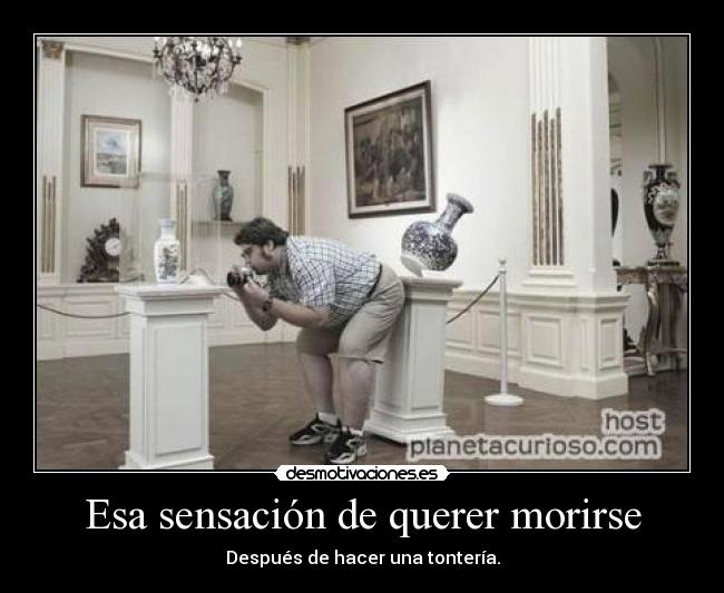 Esa sensación de querer morirse - Después de hacer una tontería.