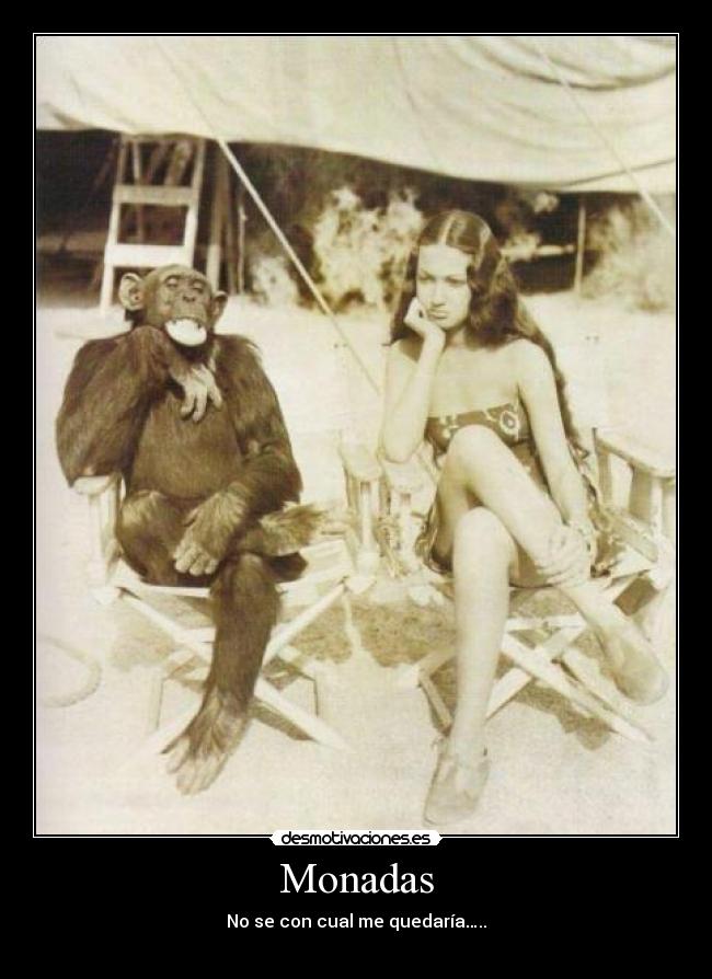 Monadas - No se con cual me quedaría…..