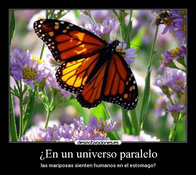 ¿En un universo paralelo - las mariposas sienten humanos en el estomago?