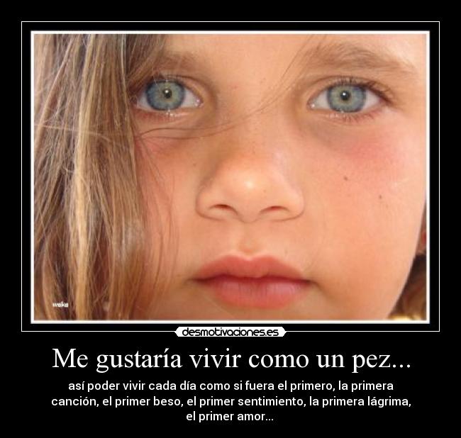 Me gustaría vivir como un pez... -