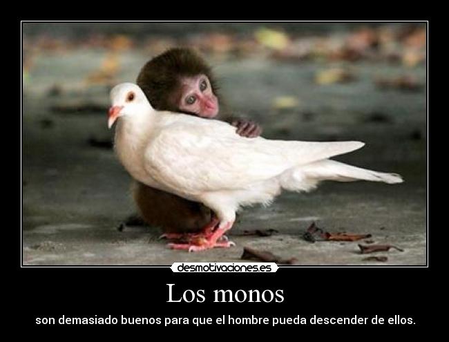 Los monos -