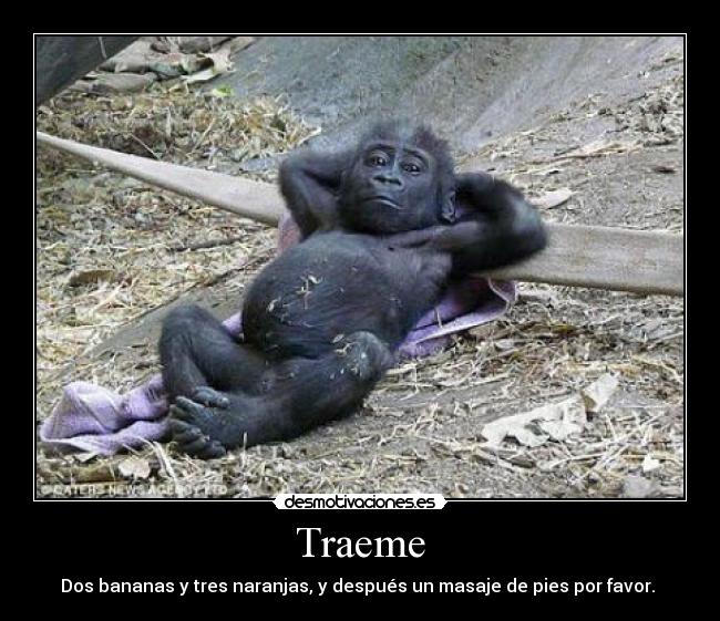 Traeme - Dos bananas y tres naranjas, y después un masaje de pies por favor.