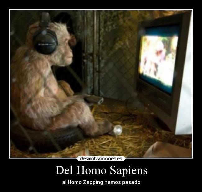 Del Homo Sapiens - al Homo Zapping hemos pasado