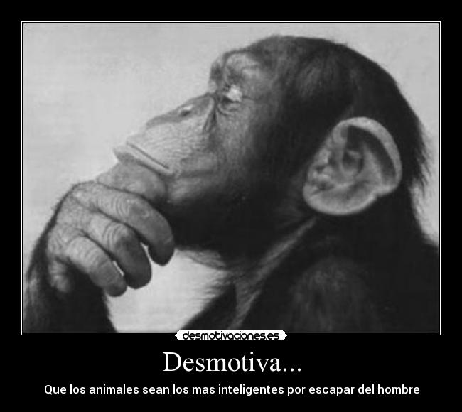 Desmotiva... -
