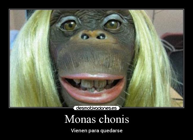 carteles monas chonis quedarse desmotivaciones